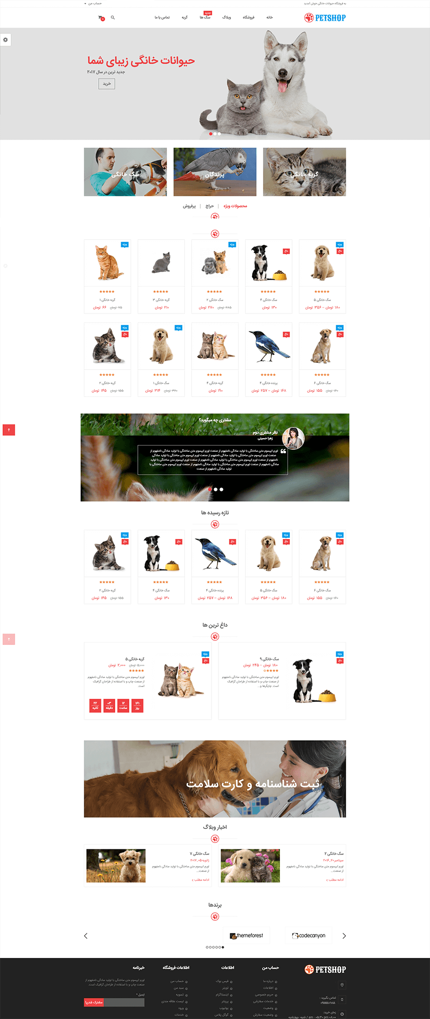 طراحی سایت مرتبط با حیوانات